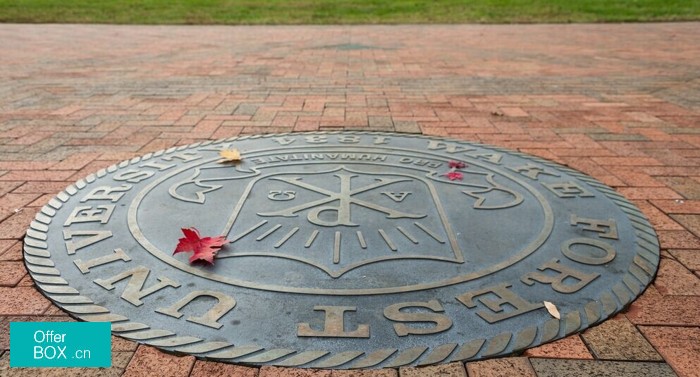 维克森林大学校园