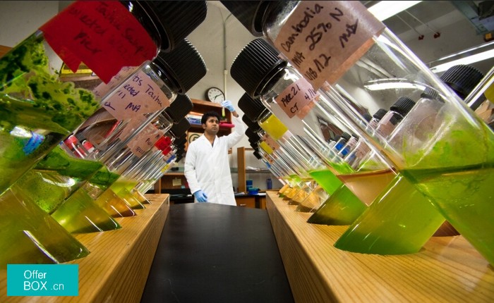 田纳西大微生物学院健康科学学院